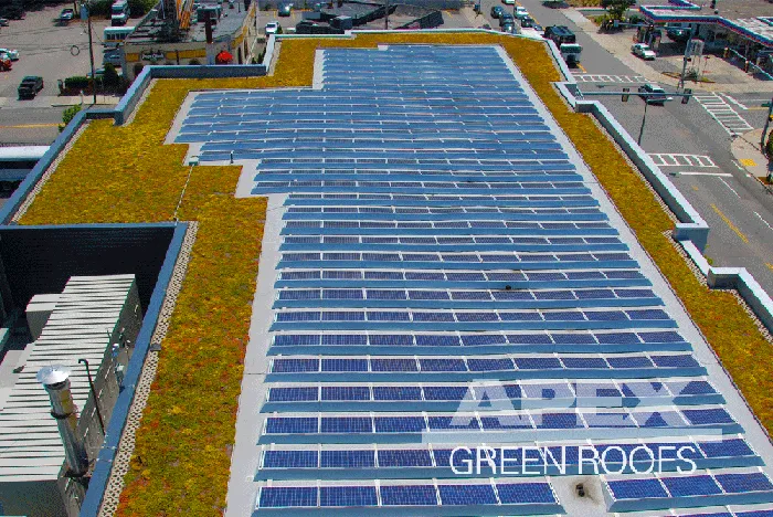Apex Green Roofs researched project photo