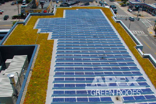 Apex Green Roofs researched project photo