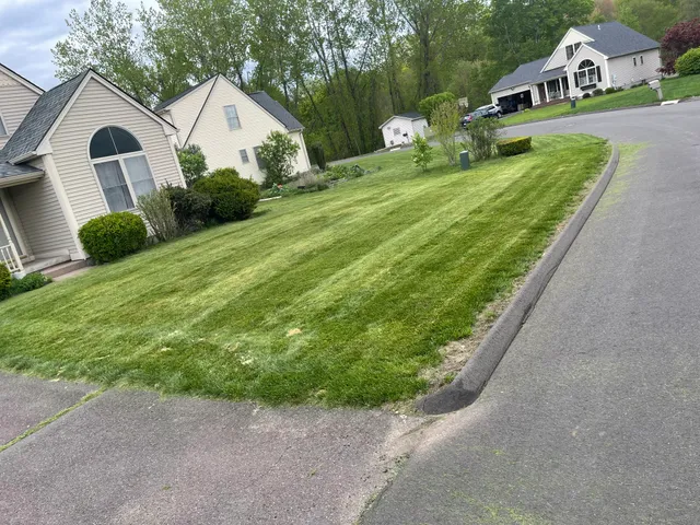 Chop Chop Lawn Care work photo