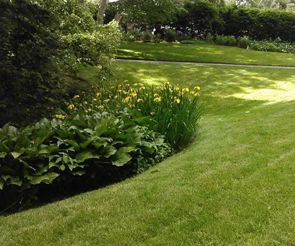 work photo from dolanlandscaping.com