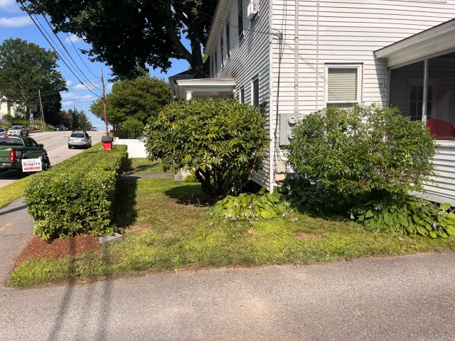 Mulch, shrubs, plantings, garden