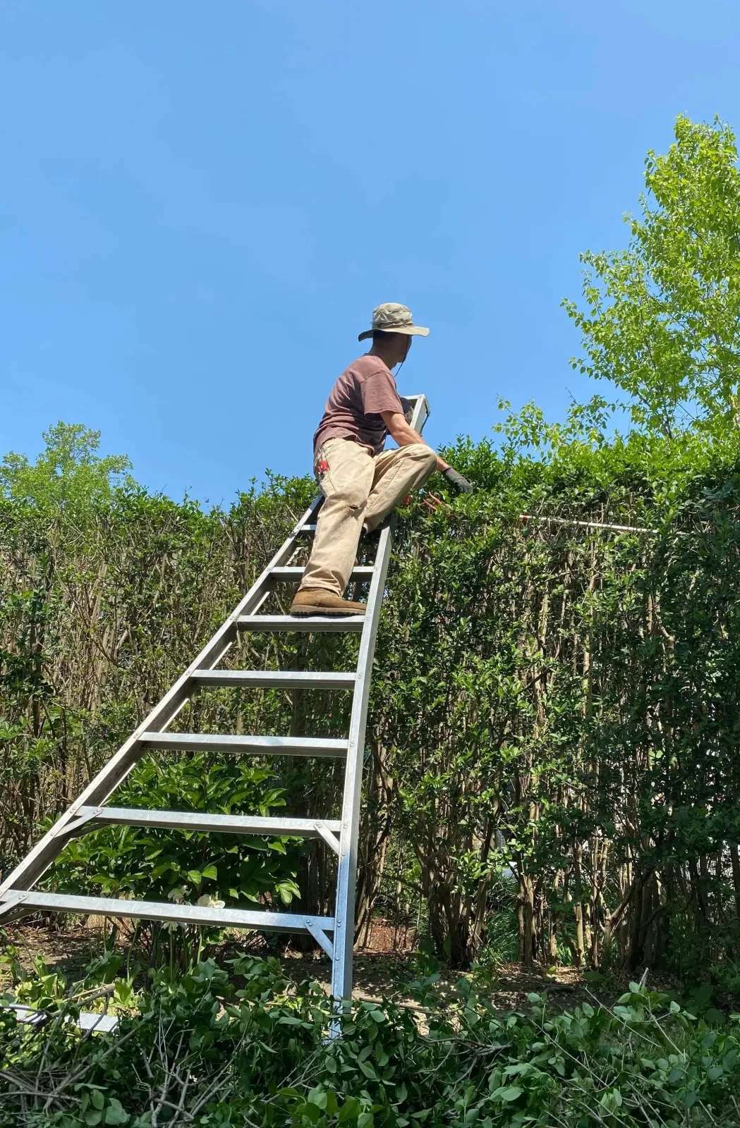 work photo from allgardensinc.com