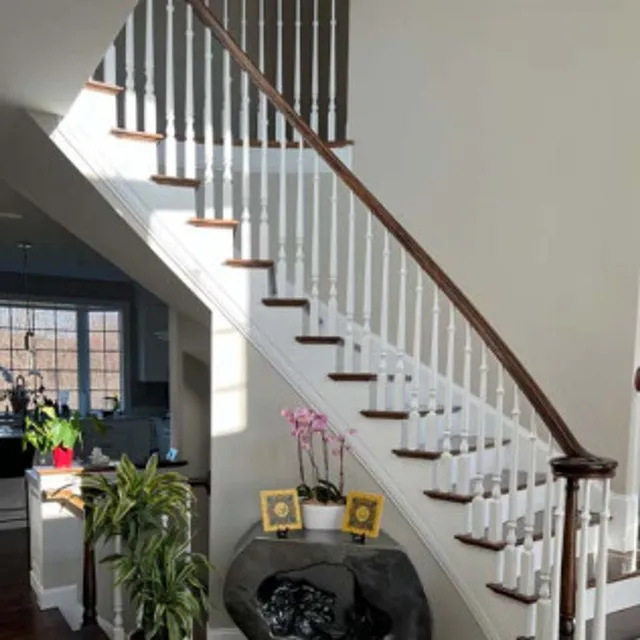 Interior stairwell, trim and wall painting