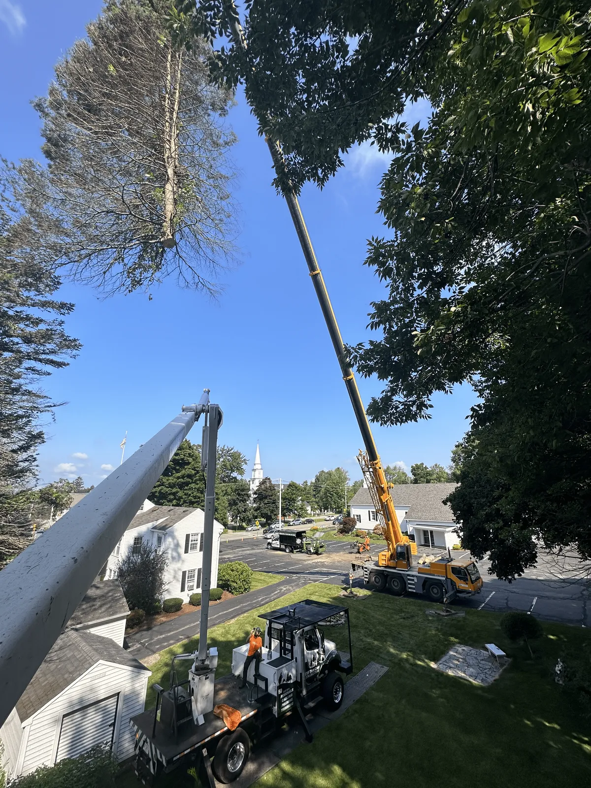 work photo from twtreecare.com