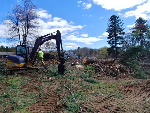 Greensite Tree & Land work photo