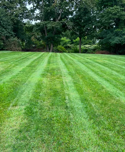 Royalty Lawn Care work photo
