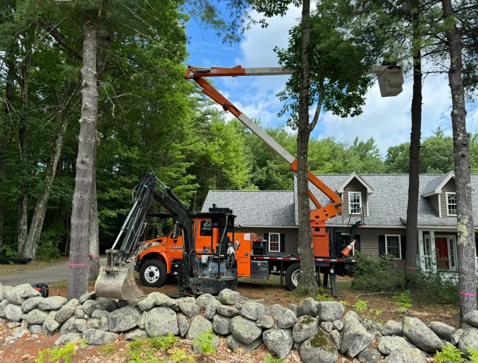 work photo from cassidytreeandlandscape.com