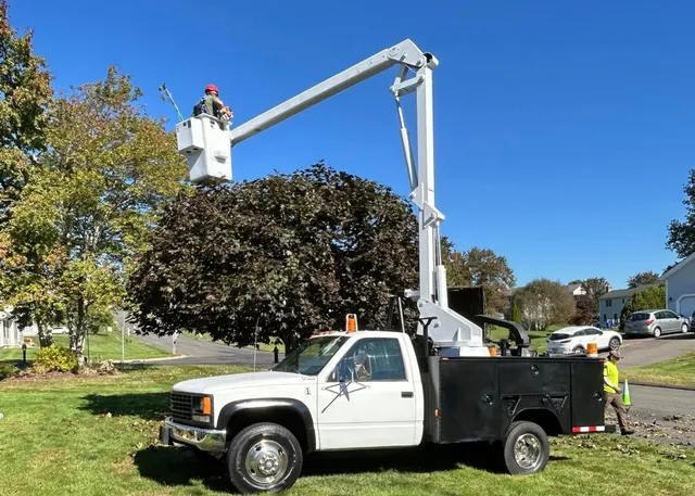 work photo from evergreenlawnandlandscape.com