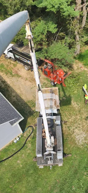 Connecticut Tree Service work photo