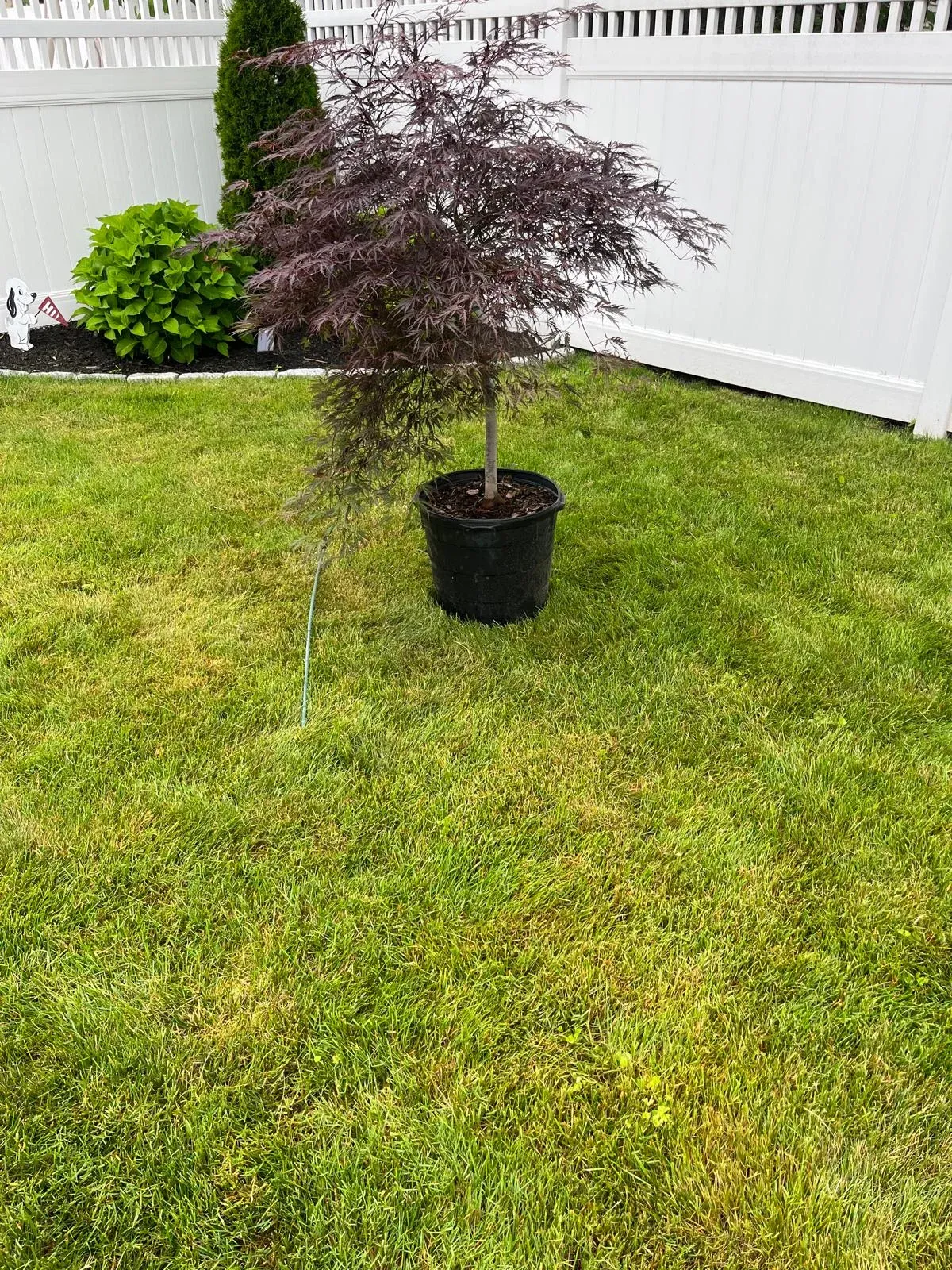 work photo from arlianoslandscapingllc.com