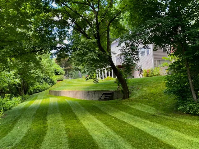 Freshly mowed residential lawn with crisp striping