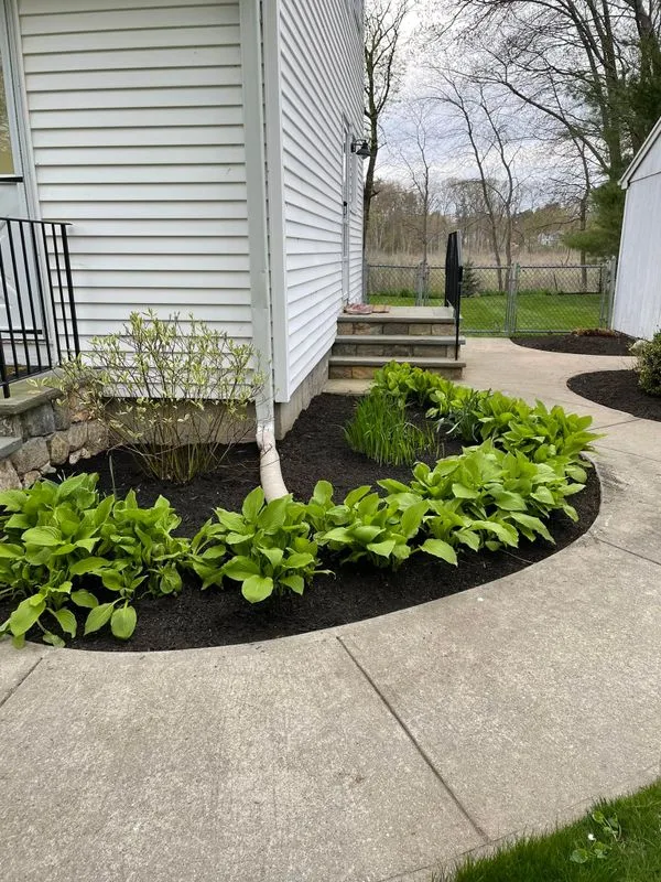 Mulch Installation