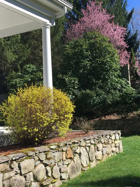 Vintage Lawns work photo