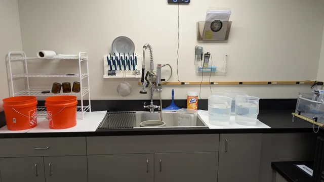 work photo from Google listing