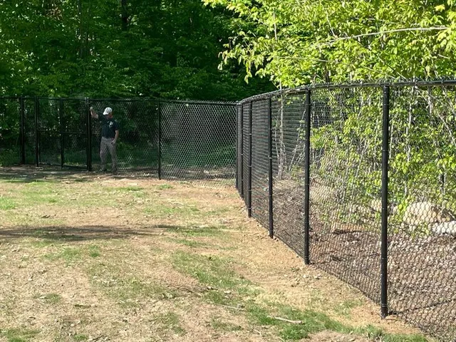 Chain Link