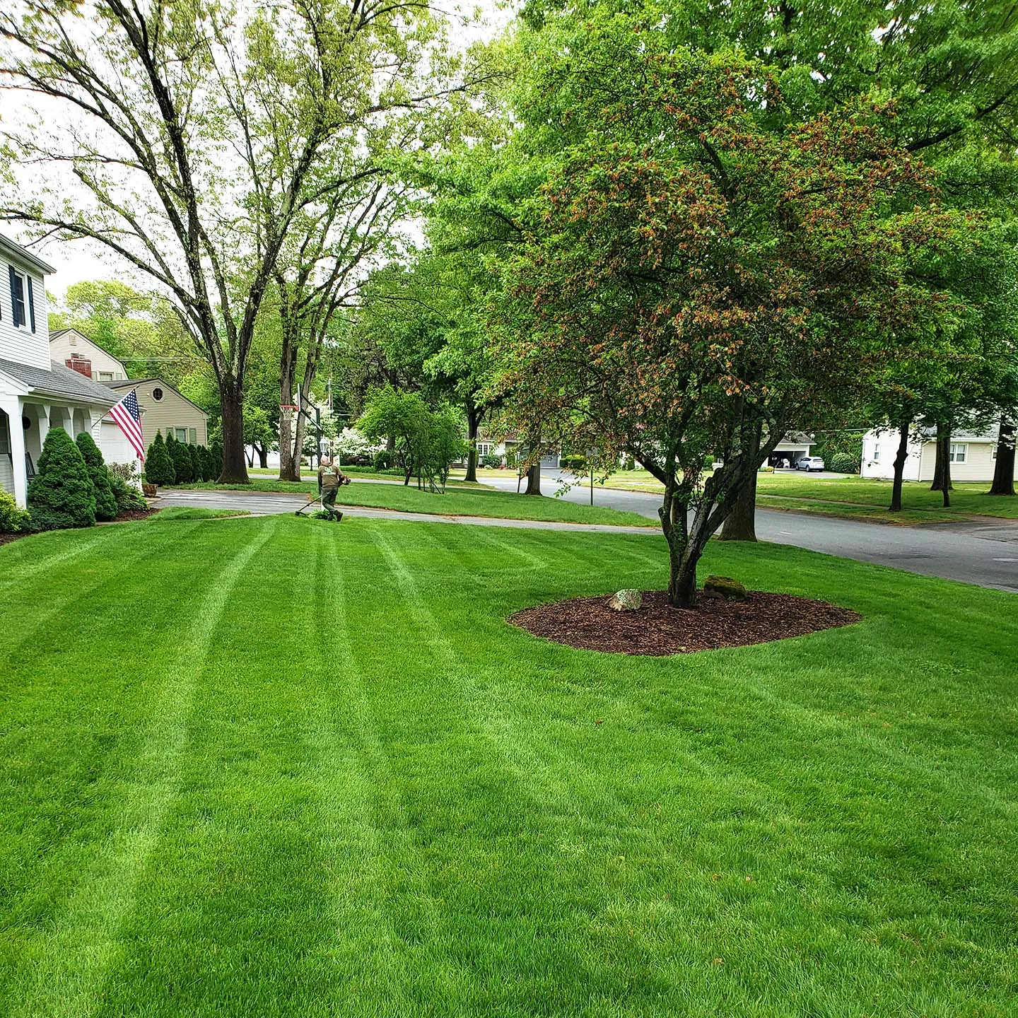 Th best lawn care in East Longmeadow