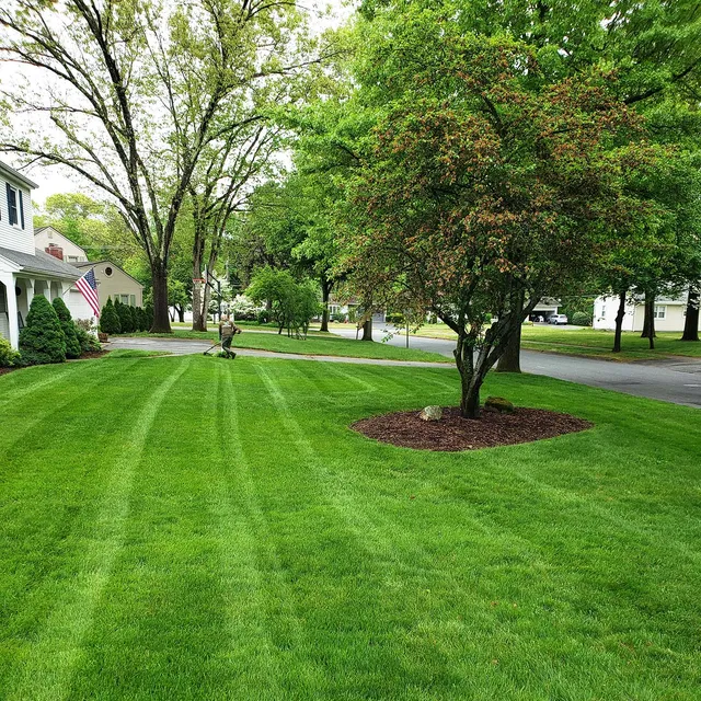 Th best lawn care in East Longmeadow