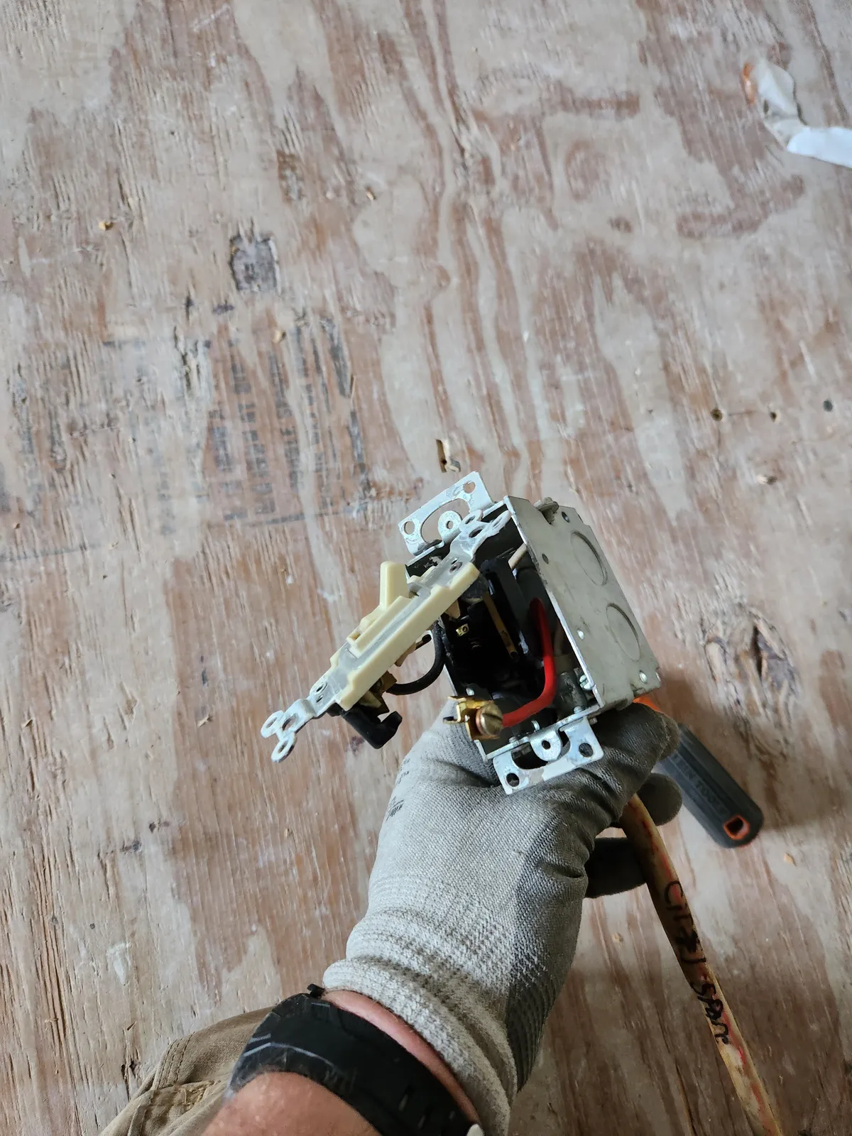 work photo from Google listing