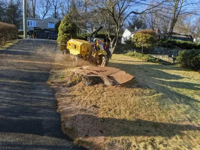 work photo from budgetbilltree.com