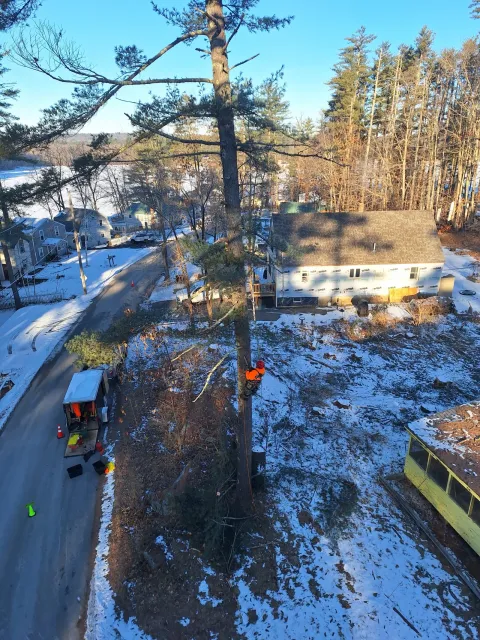 work photo from blackbeartreemaine.com