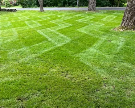 work photo from palandjianlandscaping.com