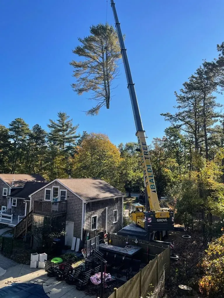 Crane Service