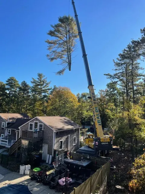 Crane Service