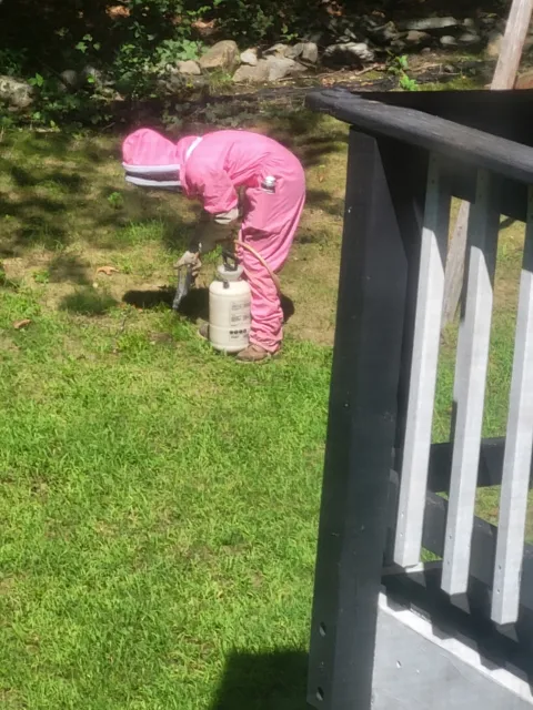 Cole's Pest Control work photo