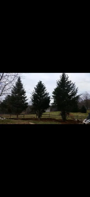 work photo from naturetouchlandscaping.com