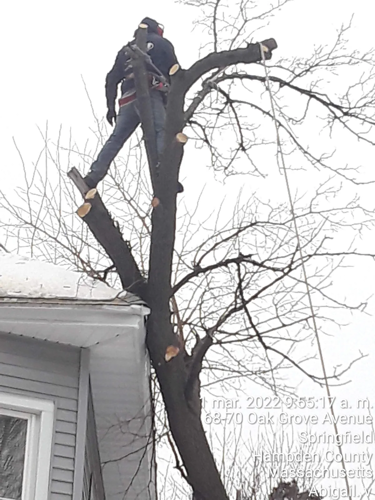 work photo from Google listing