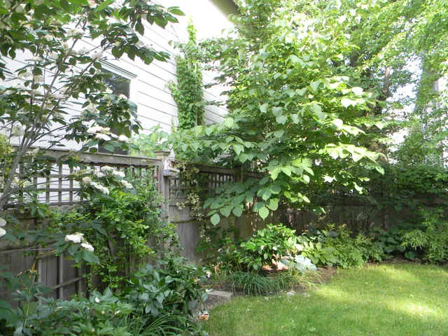 work photo from siriuslandscapes.com