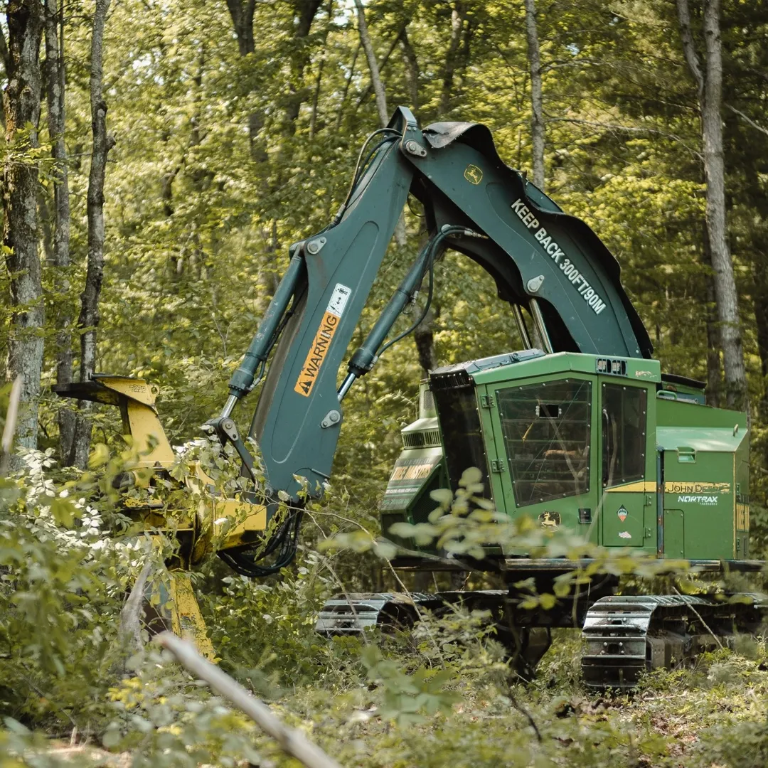work photo from newenglandtreemasters.com