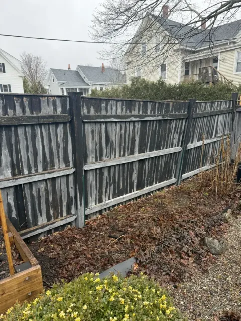 Fence after replacement — Wallis St, Beverly MA