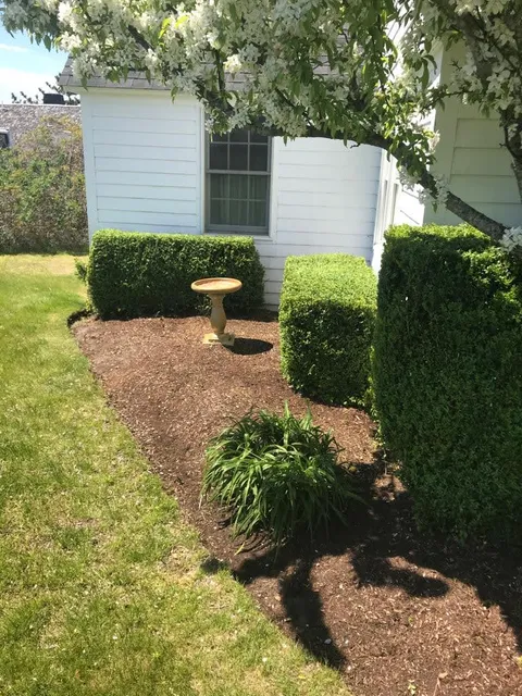 M&L Landscape and Irrigation work photo