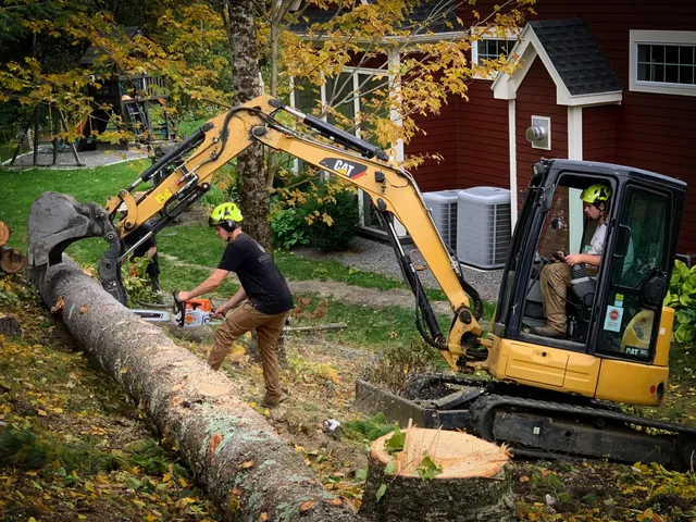 Busch Tree Service LLC work photo
