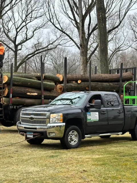 work photo from lifetreeservicesllc.com