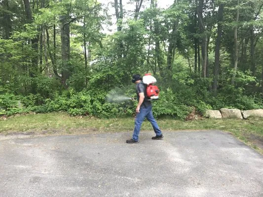 DIAMOND PEST CONTROL researched project photo