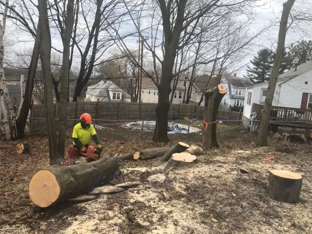 work photo from 207landscaping.com