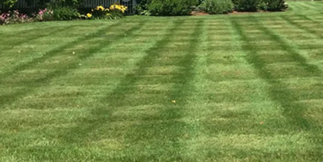 Bantam Landscaping and Lawn Mowing Services