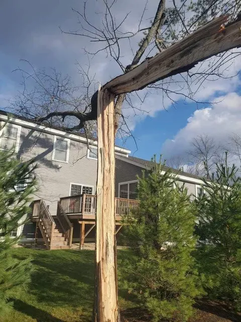 work photo from sendittreeservice.com