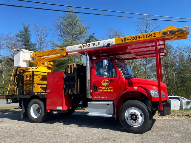 Peter McMillan Pro Tree LLC work photo