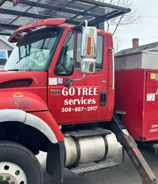 work photo from gotreeservices.com