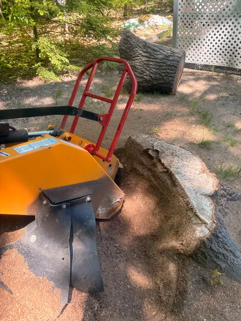 Wyatt's Stump Solutions work photo