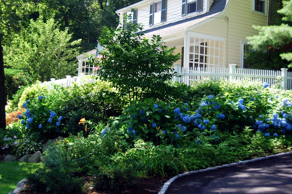 work photo from charlesriverlandscape.com
