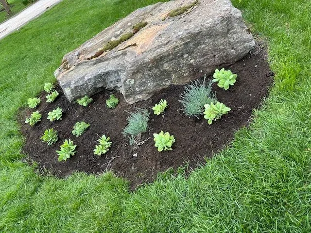work photo from zggardens.com