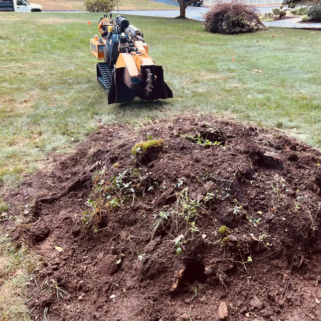 Nate's Stump Grinding Service LLC work photo