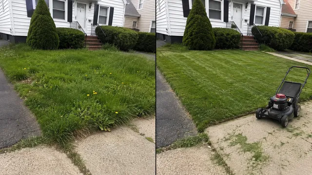 Beast Mowed Property work photo
