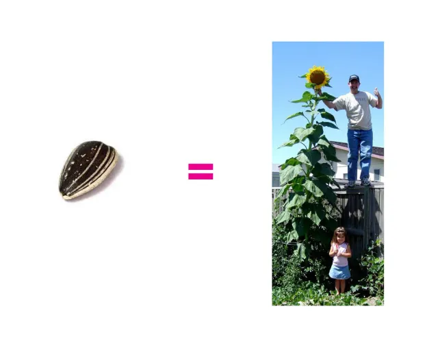 Botanical Performance