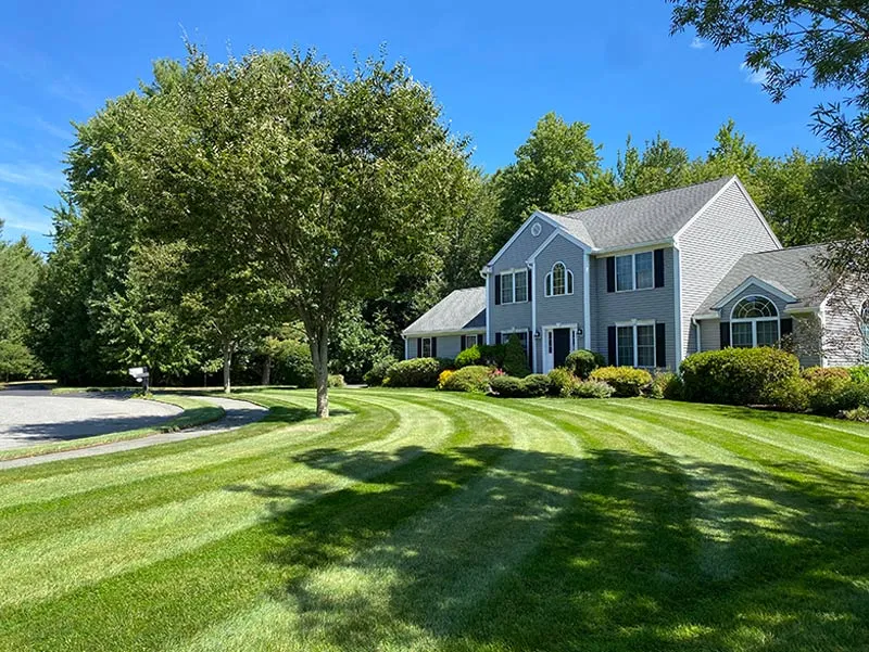 residential landscaping near me