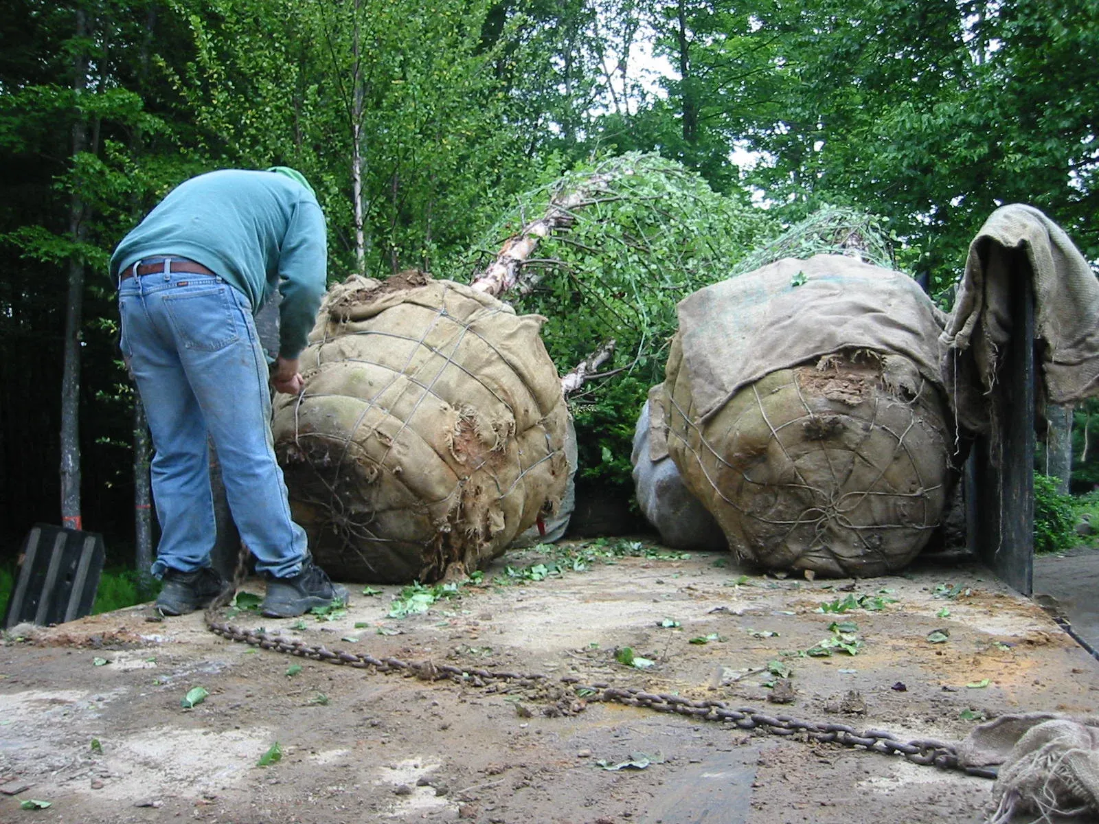 work photo from parkergarden.com